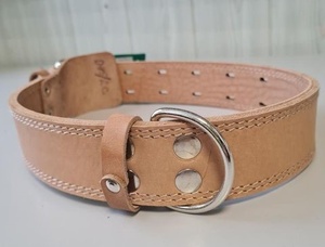 ОШЕЙНИК д/собак 45/2с кожа (о45/2с) Аркон